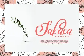 Robika Modern Script font