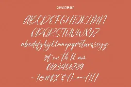 Rissyetta Signature Script Font