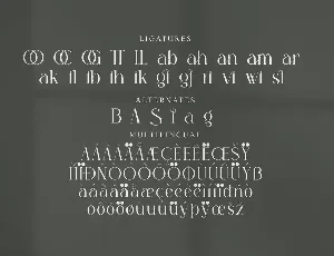 Sagire Modern Serif Font