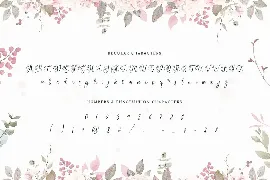 Wedding Script Font