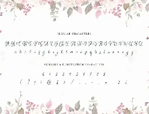 Wedding Script Font