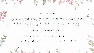 Wedding Script Font