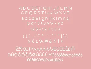 Alexsans font