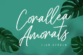 Cellarets Signature Script Font