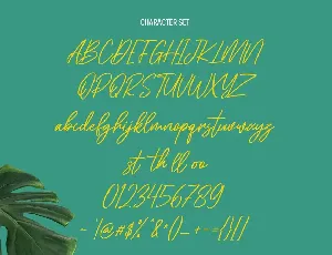 Cellarets Signature Script Font