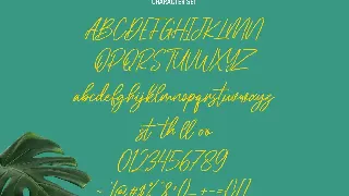 Cellarets Signature Script Font