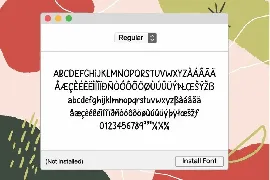 Special Memory font