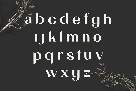 Guttie Elegant Modern Font