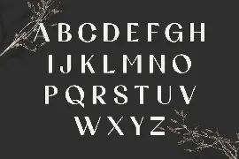 Guttie Elegant Modern Font