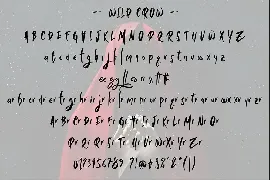 Wild Crow font