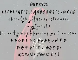 Wild Crow font