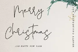 Yearbook Christmas - Beauty Calligraphy Font