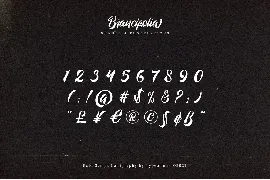 Brancifolia font