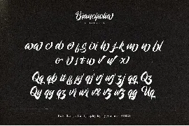 Brancifolia font