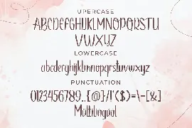 Danisa Club - Handcraft Display Font