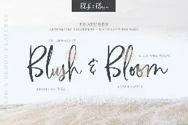 Blush & Bloom Script Font