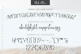 Blush & Bloom Script Font