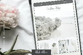 Blush & Bloom Script Font