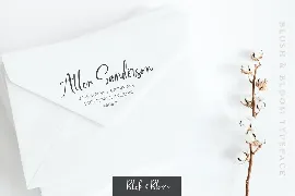 Blush & Bloom Script Font