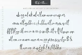 Blush & Bloom Script Font