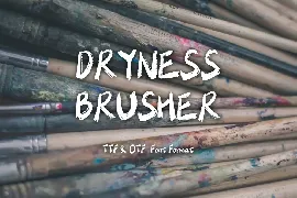 Dryness Brusher Font