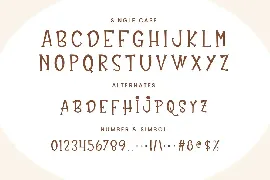 Amequin Cute Display Font