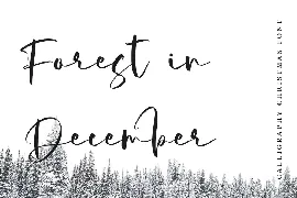 Strength Winter - Calligraphy Christmas Font