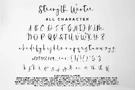 Strength Winter - Calligraphy Christmas Font