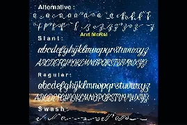 Alpenable Beautiful Modern Signature Font + Swash